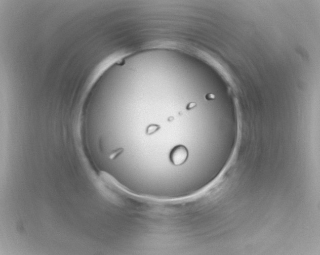 X0000115731050200911251934