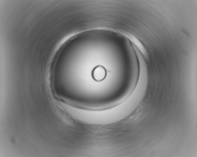 X0000115731051200911251934