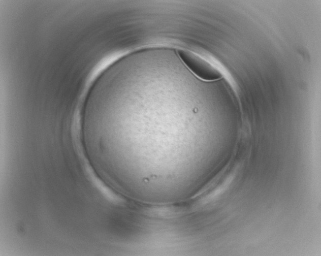 X0000115731053200911251934