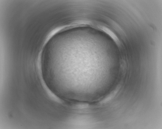 X0000115731055200911251934