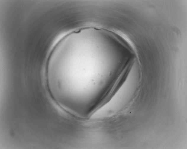 X0000115731056200911251934