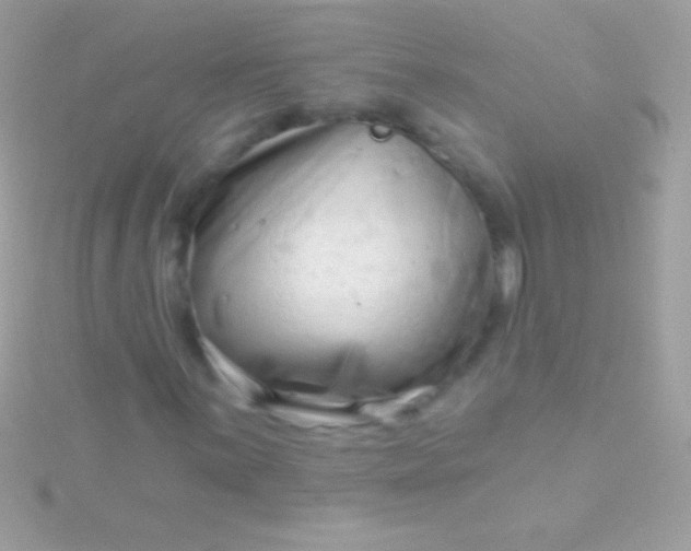 X0000115731059200911251933