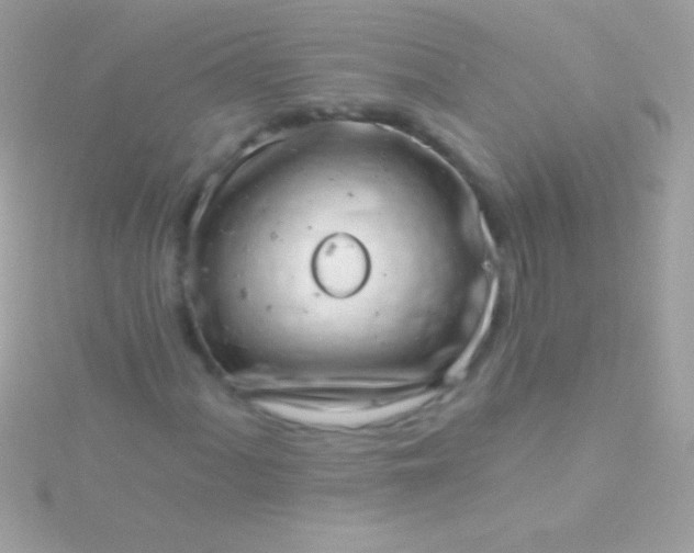 X0000115731060200911251933