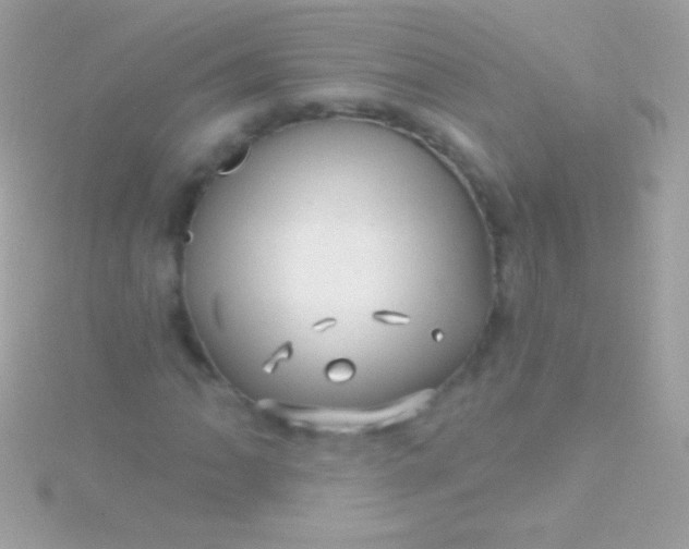 X0000115731062200911251933