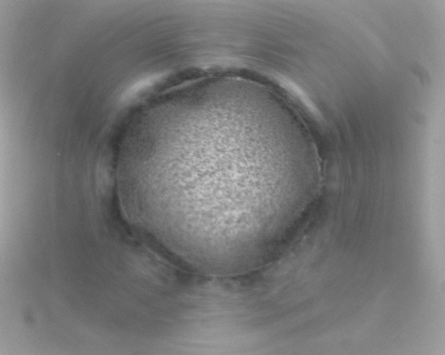 X0000115731063200911251933