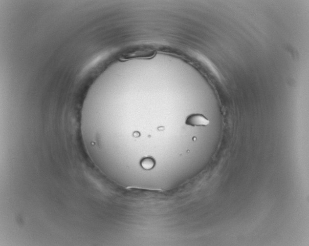 X0000115731064200911251933