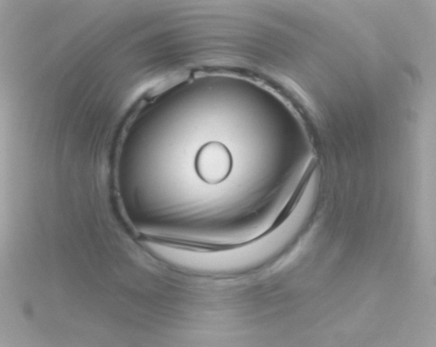 X0000115731065200911251933