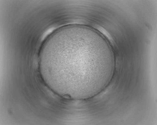 X0000115731067200911251933