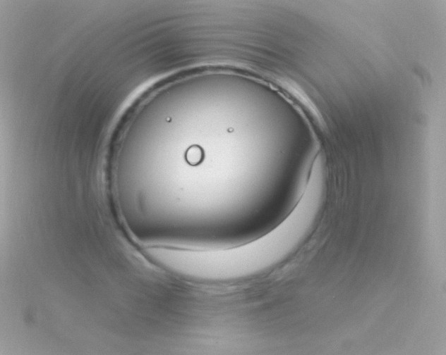 X0000115731068200911251933