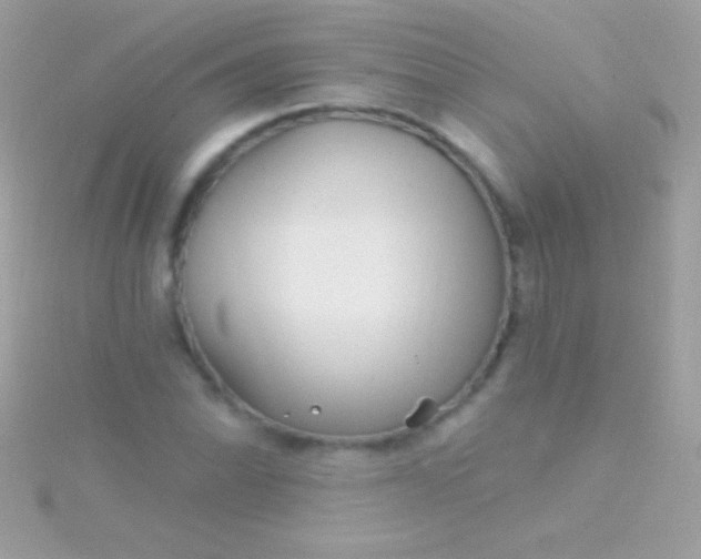 X0000115731070200911251933