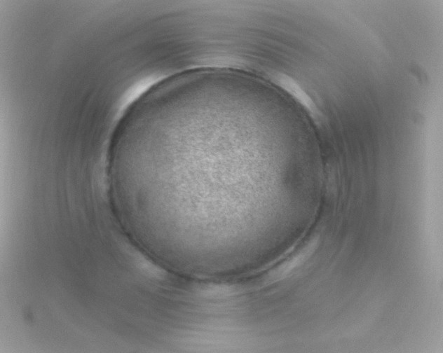 X0000115731071200911251933