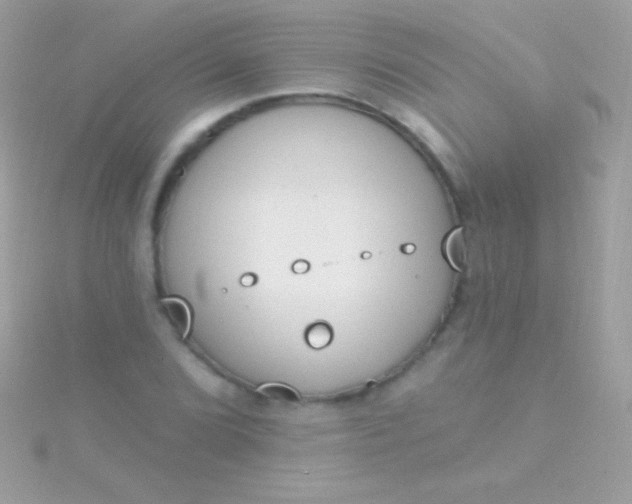 X0000115731072200911251933