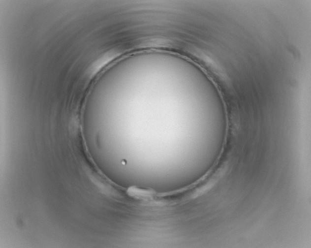 X0000115731073200911251933