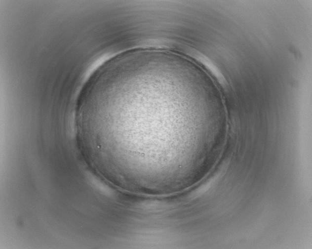 X0000115731075200911251933