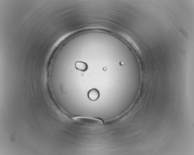 X0000115731076200911251933