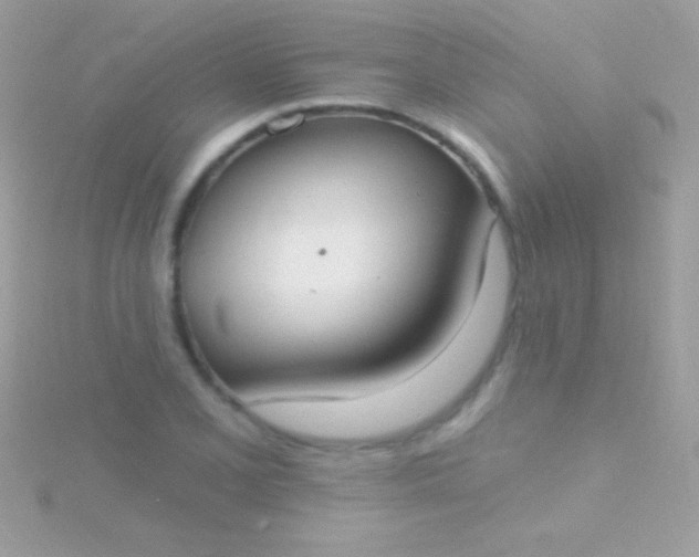 X0000115731077200911251933