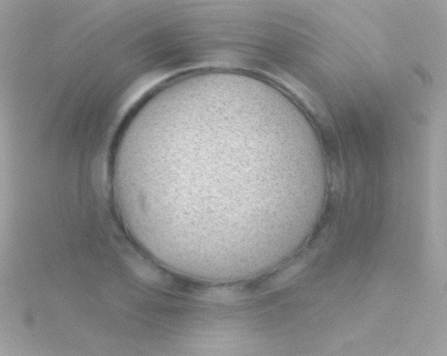 X0000115731078200911251933