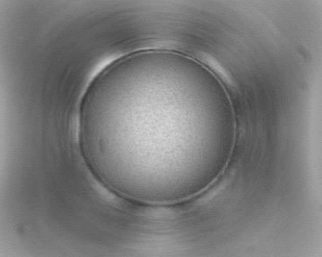 X0000115731079200911251933