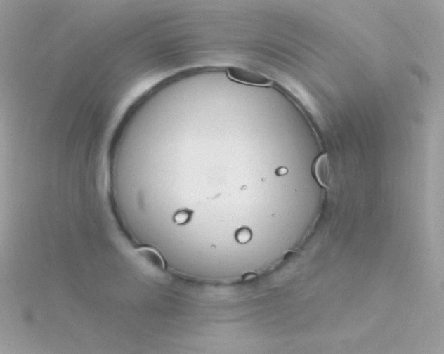 X0000115731080200911251933