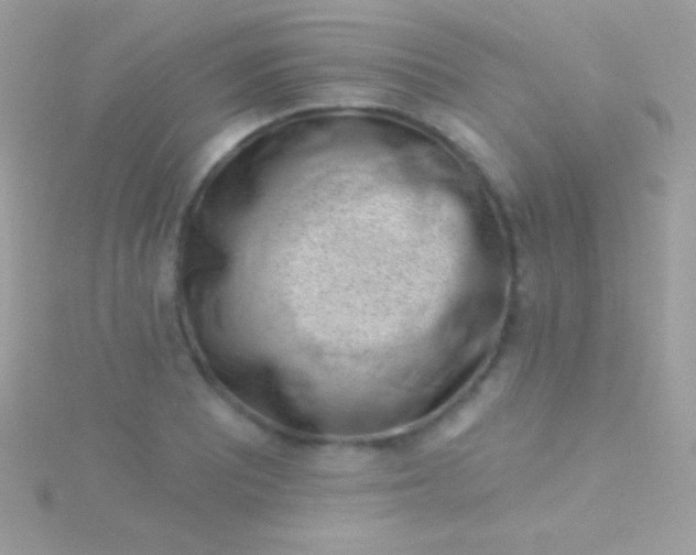 X0000115731081200911251933