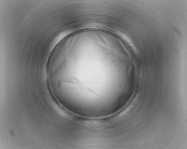 X0000115731082200911251933