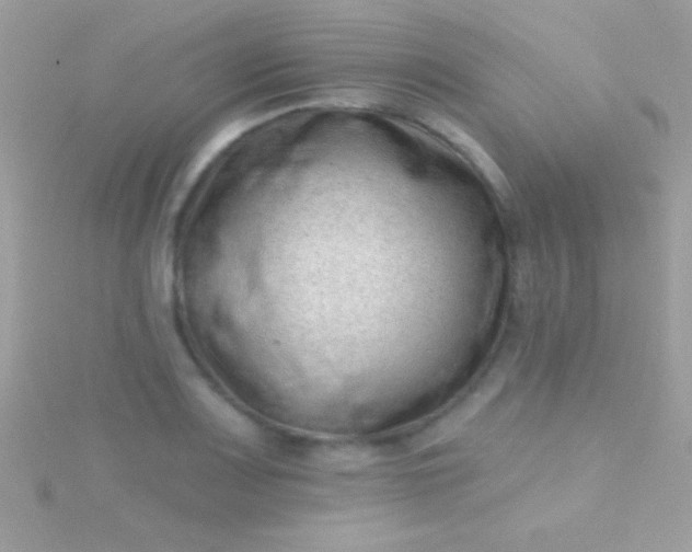 X0000115731083200911251933