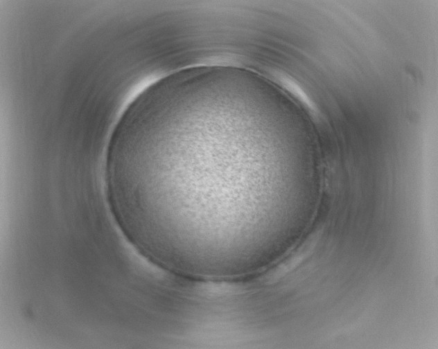 X0000115731087200911251933