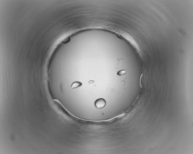 X0000115731088200911251933