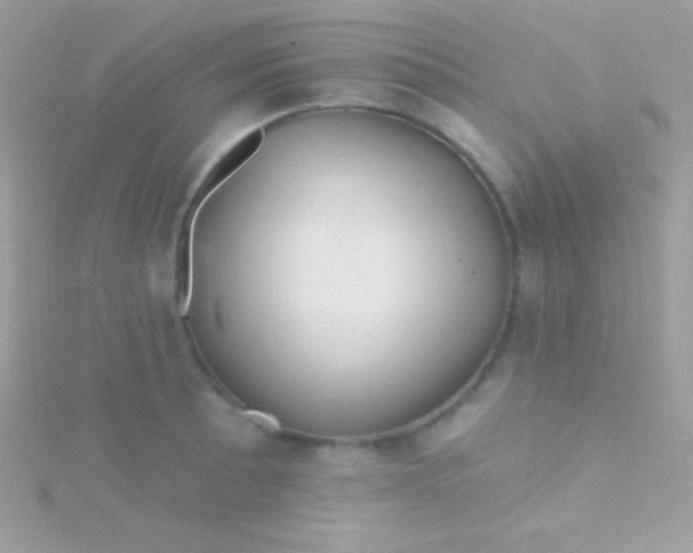 X0000115731089200911251933