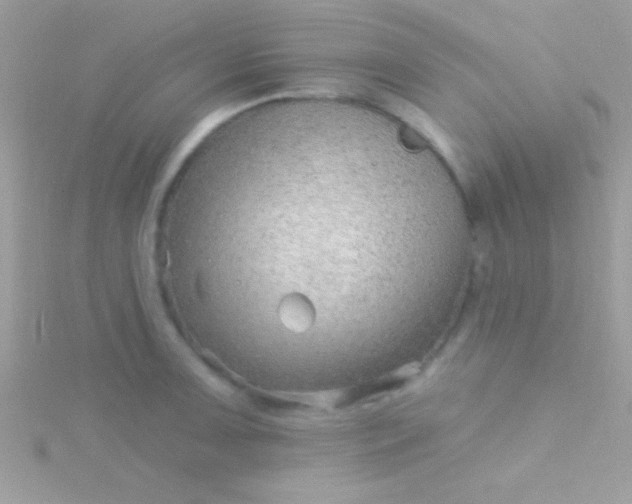 X0000115731091200911251933