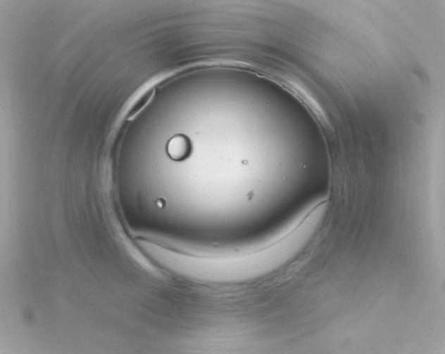 X0000115731092200911251933