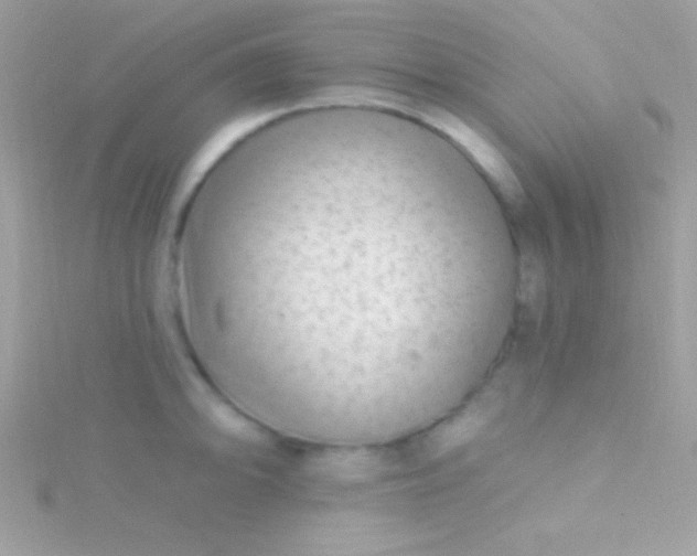 X0000115731094200911251933