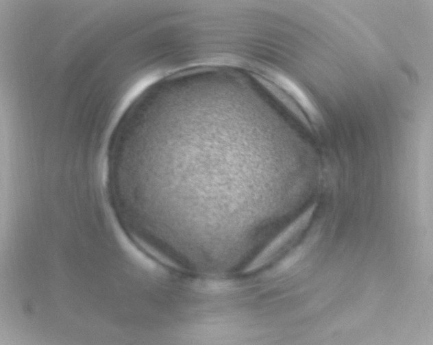 X0000115731095200911251933