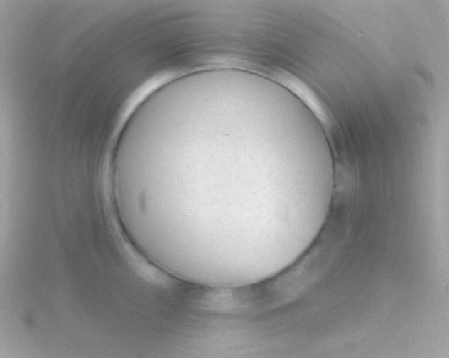 X0000115731098200911251933