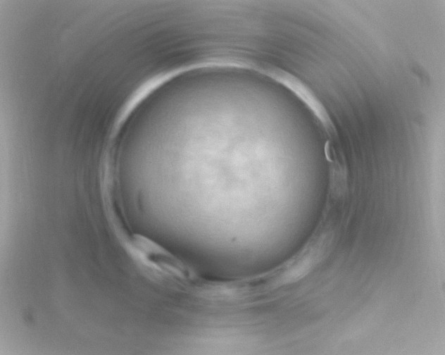 X0000115731101200911251933