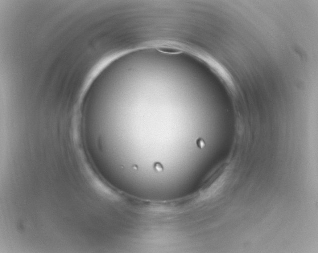 X0000115731102200911251933