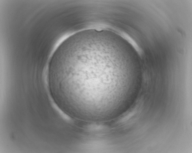 X0000115731103200911251933