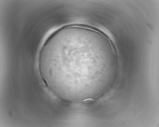 X0000115731104200911251933