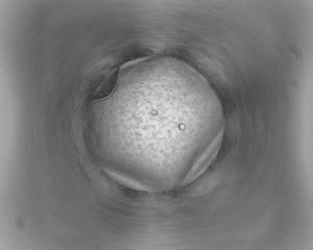 X0000115731105200911251932