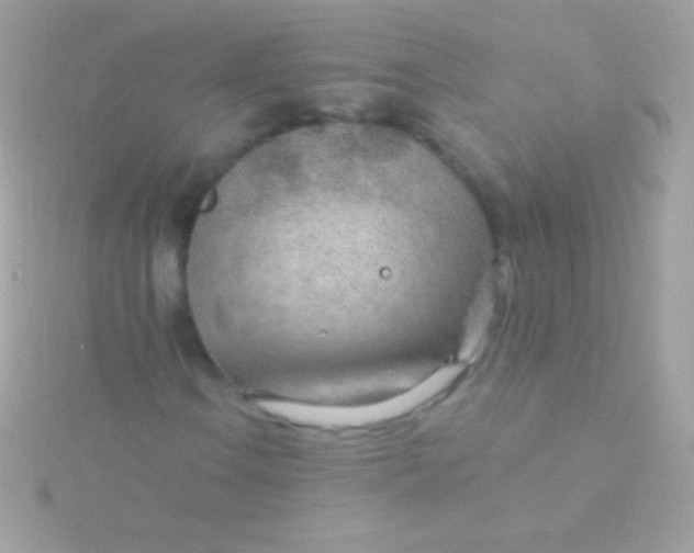 X0000115731106200911251932