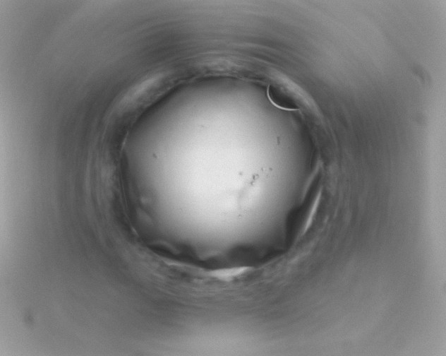 X0000115731111200911251932