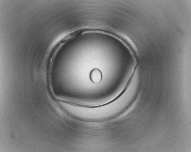 X0000115731114200911251932