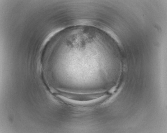 X0000115731117200911251932