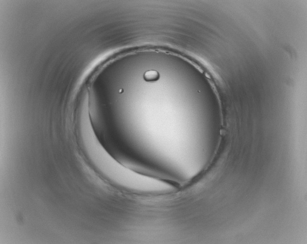 X0000115731118200911251932