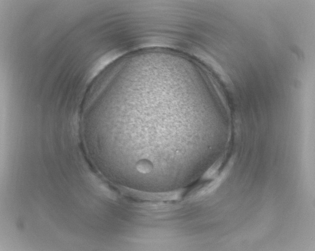 X0000115731121200911251932