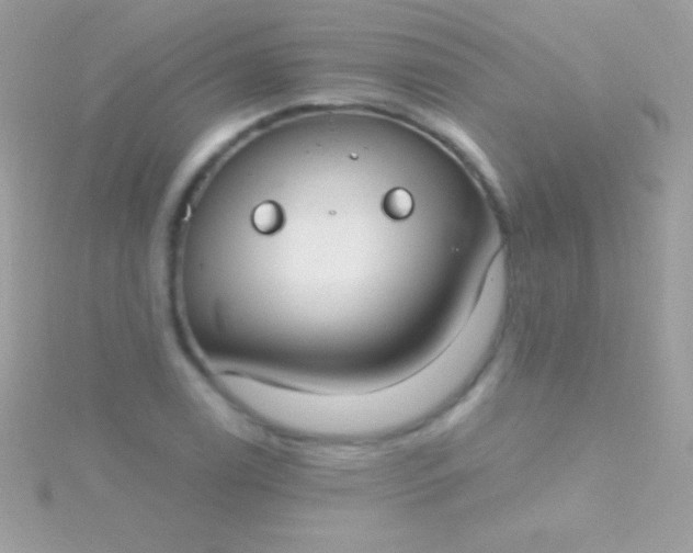 X0000115731122200911251932