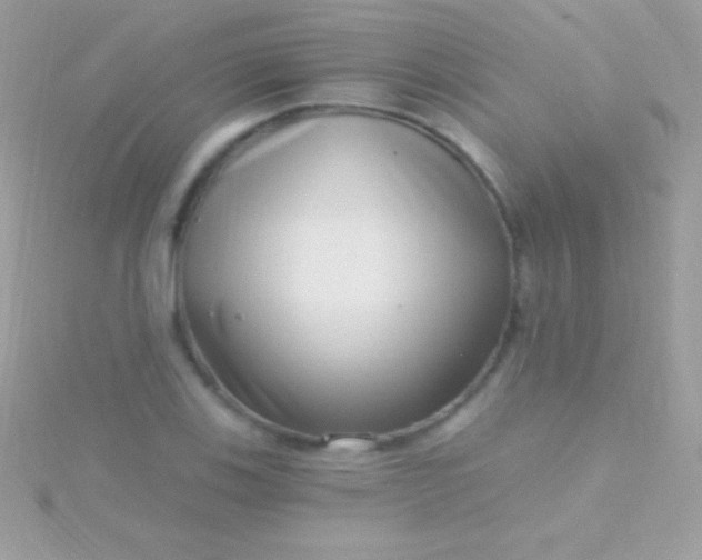 X0000115731123200911251932