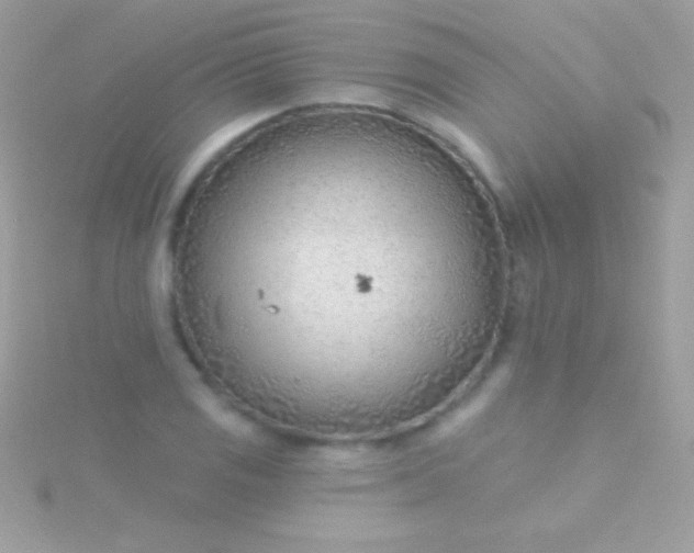 X0000115731125200911251932