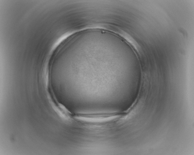 X0000115731127200911251932