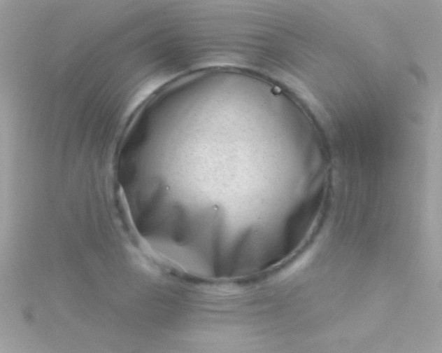 X0000115731129200911251932